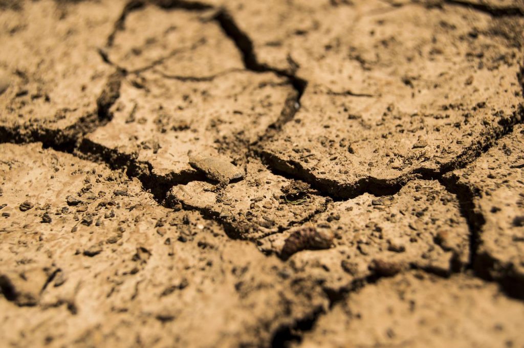 Crean mesa para apoyar a agricultores de Paillaco frente a alza de insumos y crisis hídrica