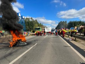 “Estamos cansados de los atentados”: Contratistas forestales bloquearon Ruta 5 Sur en Mariquina