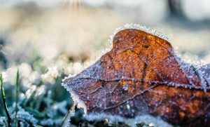 Hasta el miércoles se extendería ola de frío en Los Ríos con temperaturas bajo cero