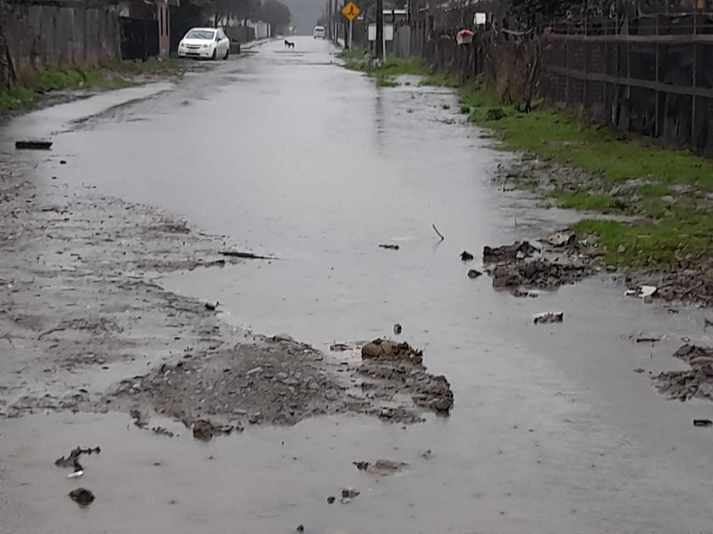 Anegamiento en una calle y tres árboles caídos deja sistema frontal en Paillaco