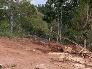 Valdivia: Decretan la paralización de obras inmobiliarias en sector Piedra Blanca