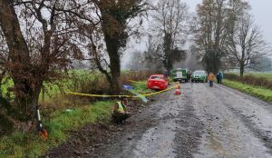 Conductor murió tras impactar su vehículo contra un árbol en Río Bueno